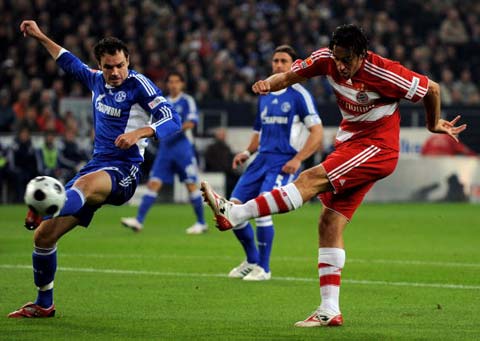 最近的报道 最近的报道